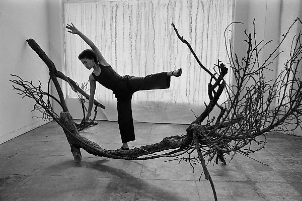 Берkeley Art Museum Подготовит Ретроспективу Марена Хассингера