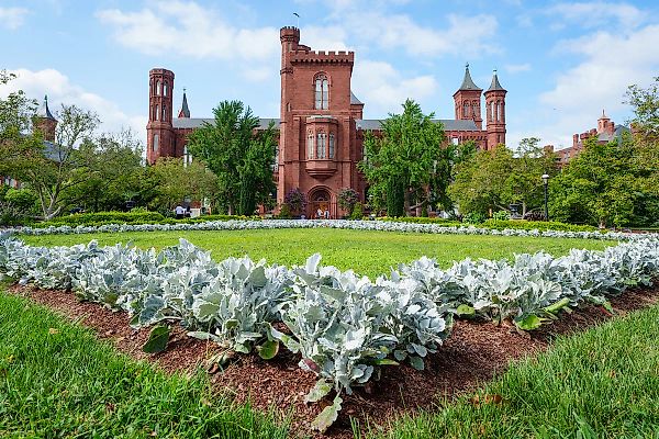 Критика Белого дома: Трамп осудил работы Смитсоновского института