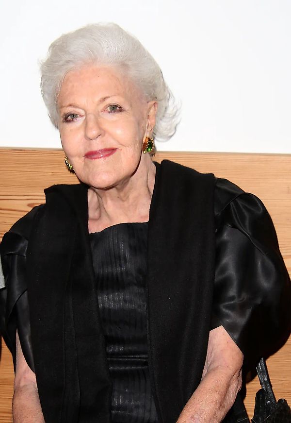 Кристоф де Мениль: жизнь в мире искусства и моды