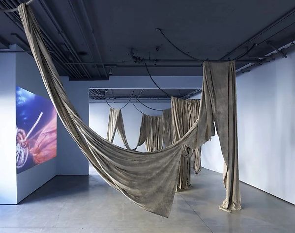 Закрытие Kadist в Сан-Франциско: конец эпохи для арт-сцены города