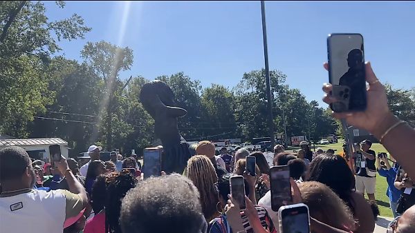 Статуя Тины Тёрнер в Браунсвилле вызвала фурор