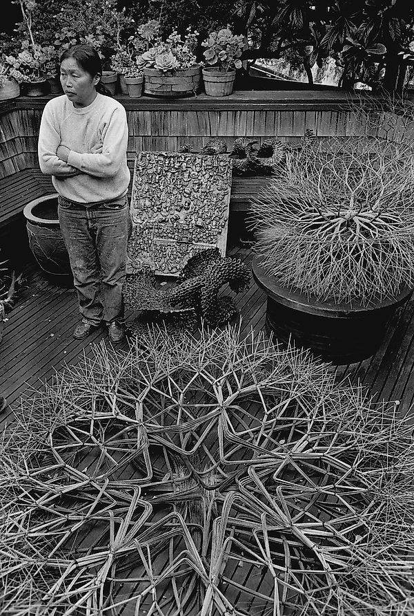 Галерея, посвящённая скульптору Ruth Asawa, откроется в Сан‑Франциско