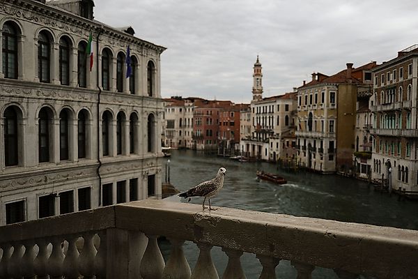 What Is the Venice Biennale? Everything You Need to Know