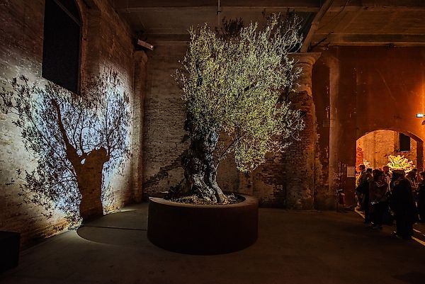 Venice Biennale 2026: Artists Defy Censorship on Palestine