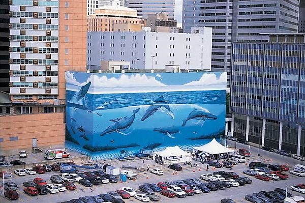 Artist Outraged After Conservationist Mural Painted Over by FIFA