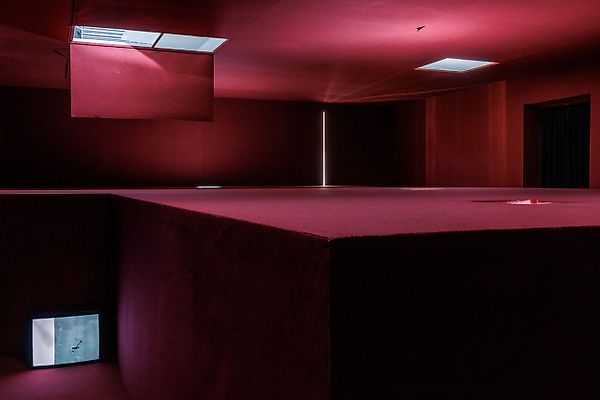 Renaissance Society в Чикаго получила премию Ellsworth Kelly на $45,000