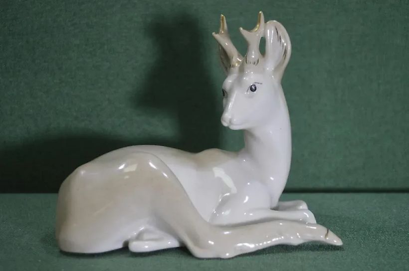 Deer, fawn lying down, doe