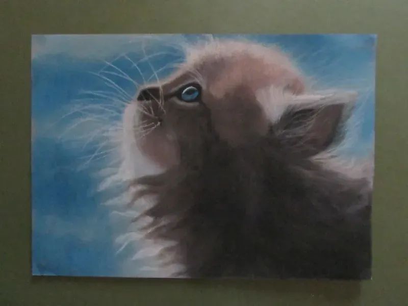 Котенок сухая пастель, бумага 