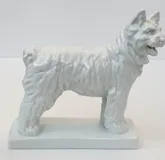 Белая Собака