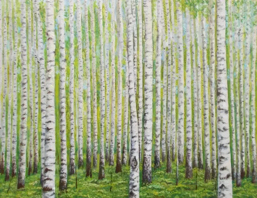 Birch grove