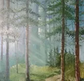 Утренний лес холст масло 