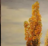 Ахтуба масло,холст 