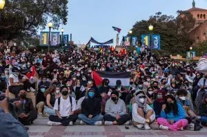 Протесты в поддержку палестинцев …