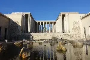 Художники и кураторы защищают …