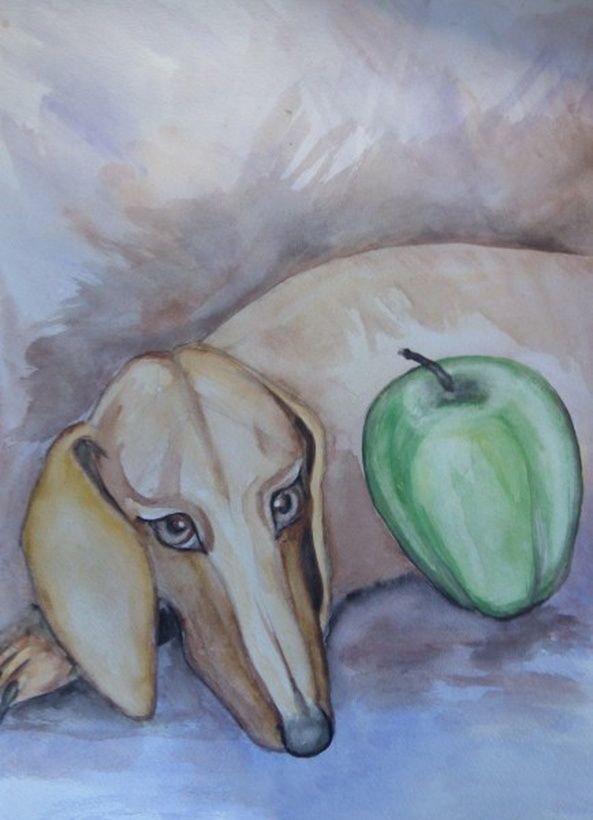 Bruno with an apple, watercolor, paper.