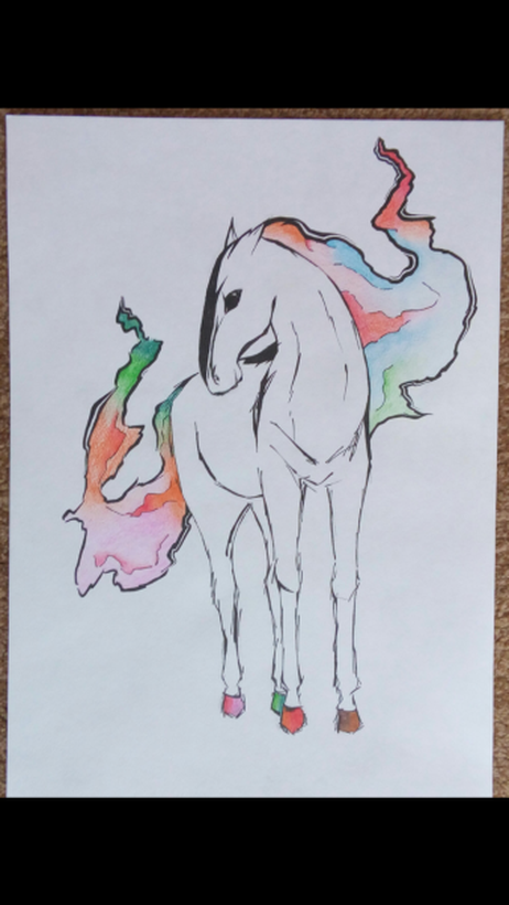 "Лошадь" черная ручка, цветные акварельные карандаши, акварельный лист