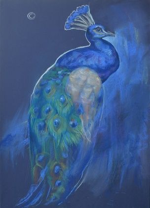 "Peacock. Night". Pastel, paper.