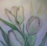 Tulips watercolor, paper.