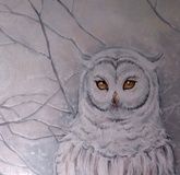 Owlet Canvas, acrylic.