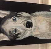 Husky Acrylic, canvas