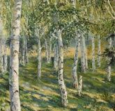 Birch trees oil, canvas.
