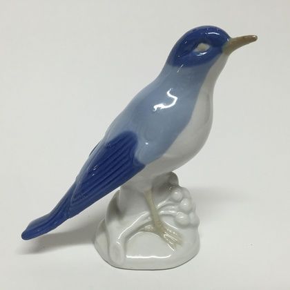 Blue bird