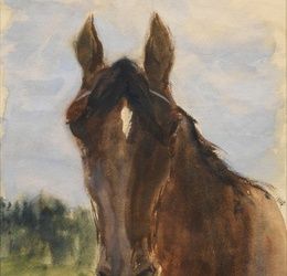 "Horse's Head: Art and Sport"