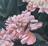 Peonies Oil, canvas on a stretcher