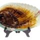 Kuznetsov decorative plate "Shell"