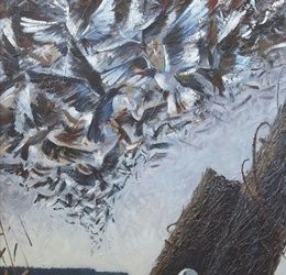 Birds oil canvas