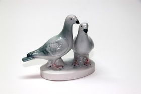 Pigeons