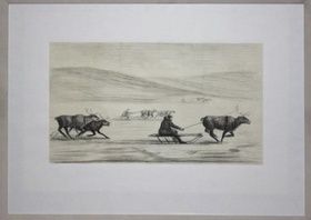 Races on reindeer