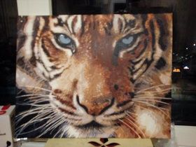 Tiger, acrylic on canvas