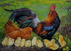 Rooster family butter, canvas.