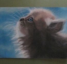 Kitten dry pastel, paper