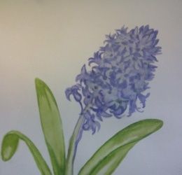 Hyacinth watercolor, paper