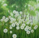 Dandelions canvas, oil
