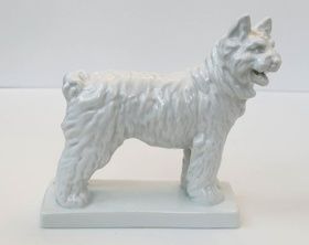 White Dog