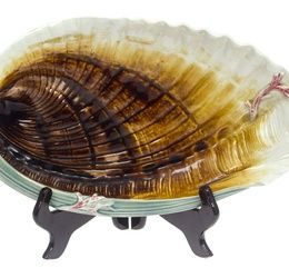 Decorative kuznetsov plate Shell