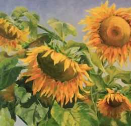 Sunflower oil, canvas
