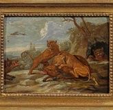 "Lioness versus wild boar: the grandeur of art"