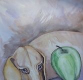 Bruno with an apple, watercolor, paper.
