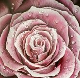 "Rose" acrylic, MDF