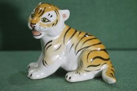 Tiger cub, a little tiger.