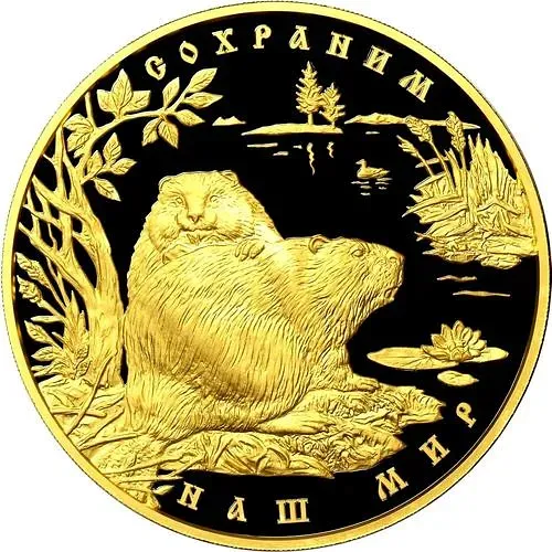 10000 рублей 2008, ММД, бобр Proof