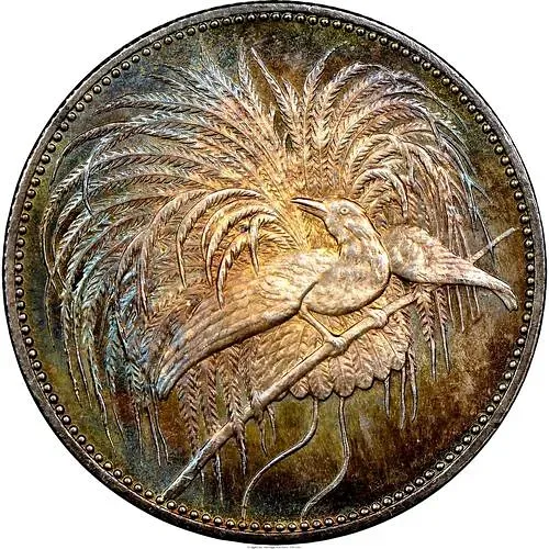 2 Marks 1894 [Papua New Guinea / German New Guinea]