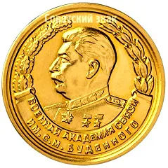 Medal "For Excellent Graduation from the Academy. S.M. Budyonny Military Academy of Communications"