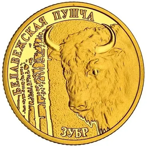 50 рублей 2006, зубр [Беларусь] Proof