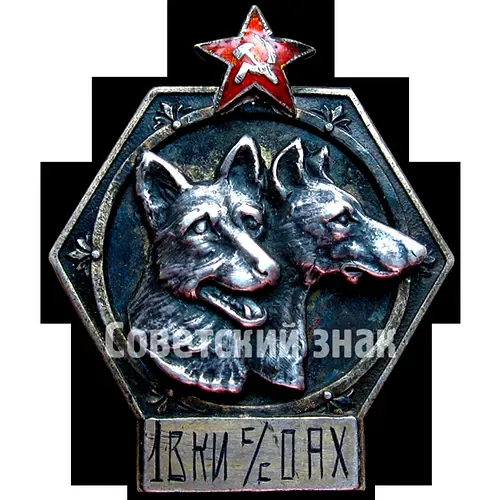 Знак «1 выпуск кинологов-инструкторов служебного собаководства ОСОАВИАХИМ. 1930»