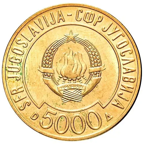 5000 динаров 1989, Саммит Движения неприсоединения [Югославия]